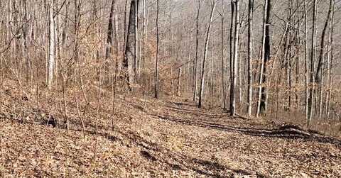 2B Choctaw Drive, Jamestown, TN 38556