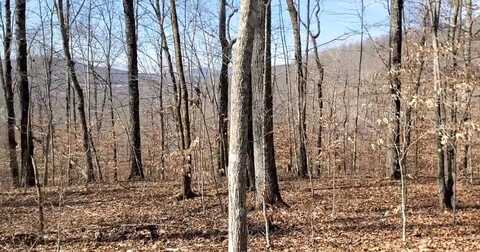 2A Choctaw Drive, Jamestown, TN 38556