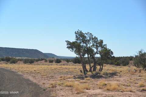 4306 El Dorado Road, Snowflake, AZ 85937