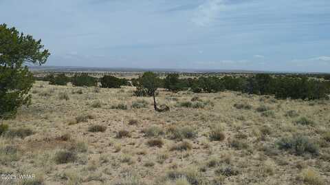 Tbd St. John's, Saint Johns, AZ 85936