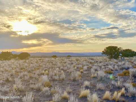 Tbd N6422, Saint Johns, AZ 85936