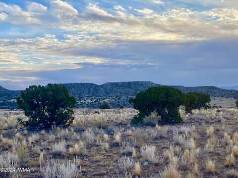 Tbd N6422, Saint Johns, AZ 85936