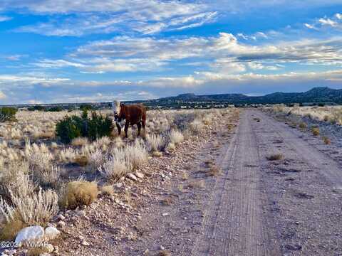 Tbd N6422, Saint Johns, AZ 85936