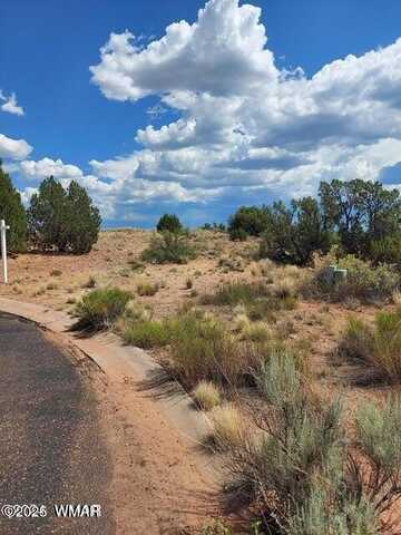 1479 W Tumbleweed Trail, Snowflake, AZ 85937