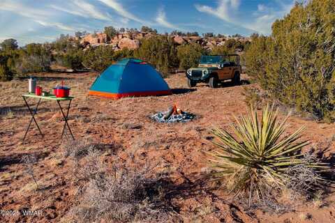 9645 Texas Lane, Show Low, AZ 85901
