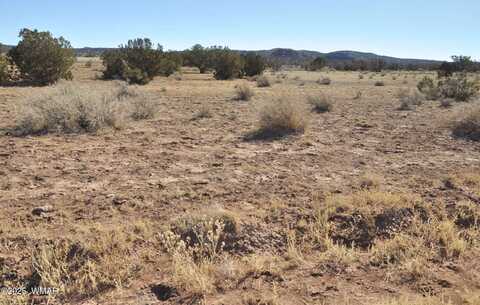 3554 Dia Estrella Road, Snowflake, AZ 85937