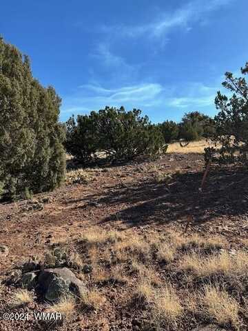 8429 Navajo Drive, Show Low, AZ 85901