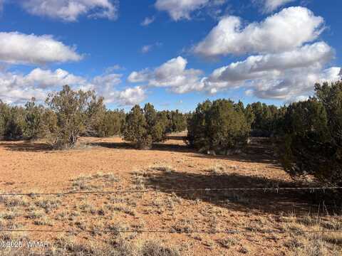 3833 Ramsey Road, Snowflake, AZ 85937
