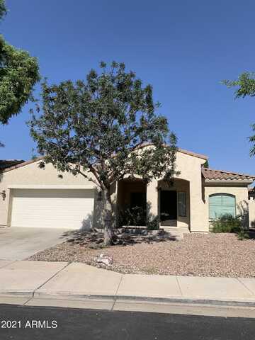 10338 E JEROME Avenue, Mesa, AZ 85209