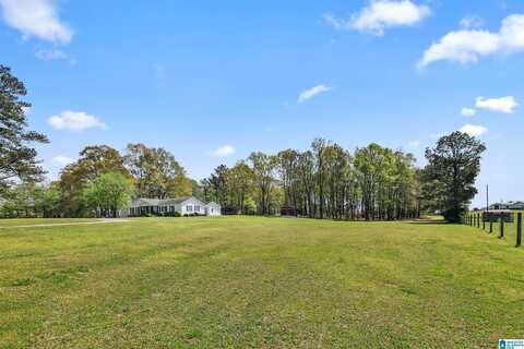 2350 BLUE SPRINGS ROAD, WILSONVILLE, AL 35186