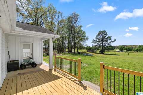 2350 BLUE SPRINGS ROAD, WILSONVILLE, AL 35186
