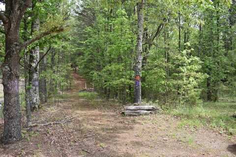 2.95 Acres Iris Place, Hot Springs, AR 71913