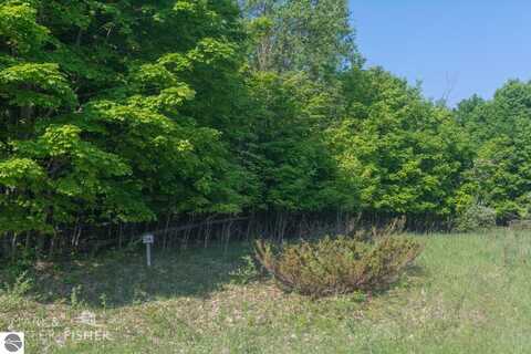 16 W HARBOUR RIDGE, MAPLE CITY, MI 49664