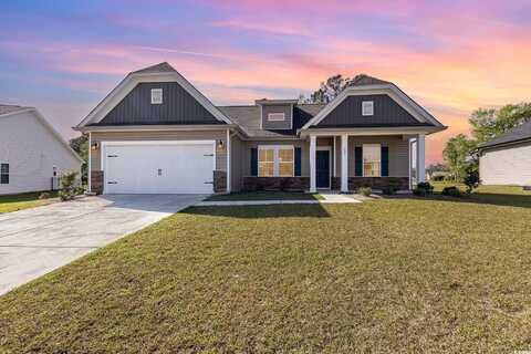 204 Palmetto Sand Loop, Conway, SC 29527