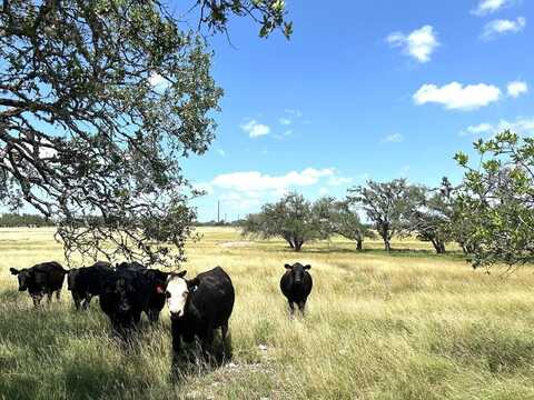 LOT5 Ranch Rd 783, Harper, TX 78631