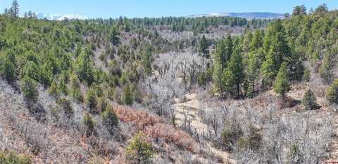 TBD Wild Poppy Road, Montrose, CO 81403