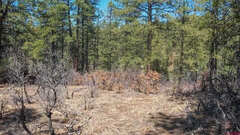 121 Engineer Point, Pagosa Springs, CO 81147