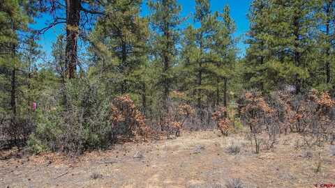 87 Engineer Point, Pagosa Springs, CO 81147