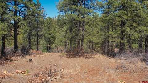 149 Engineer Point, Pagosa Springs, CO 81147