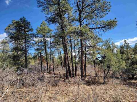 145 Rock Point Place, Pagosa Springs, CO 81147