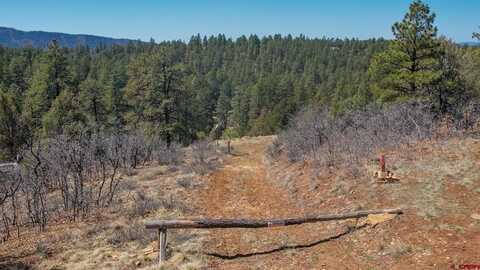 154 Engineer Point, Pagosa Springs, CO 81147