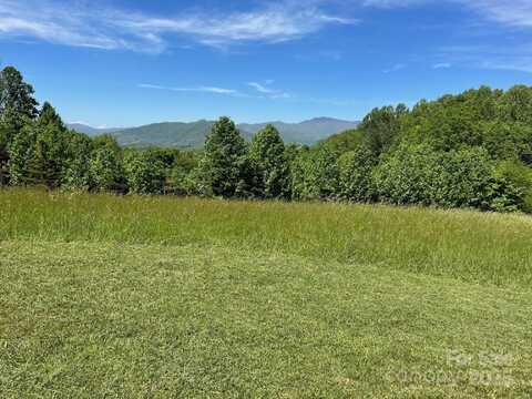 999 Chestnut Mountain Drive, Green Mountain, NC 28740