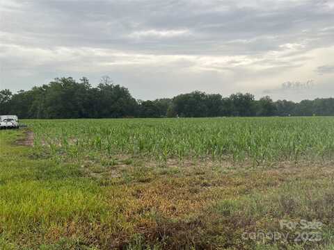 Manville Saint Charles Road unit: 3, Bishopville, SC 29010