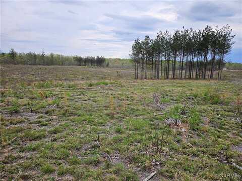 14.862 Acres Prince Edward Highway, Rice, VA 23966