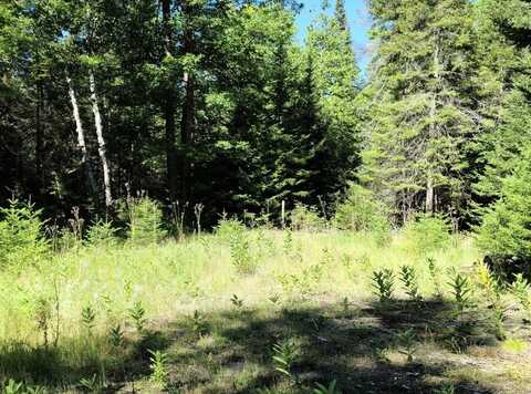 825 Sioux AVE, Bois Blanc, MI 49775