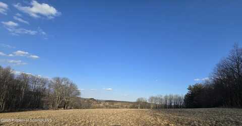 State Route 167, Brackney, PA 18812