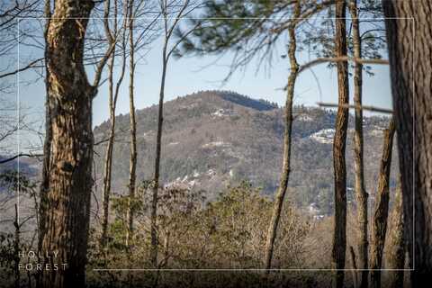 Lot 65 Buckberry Drive, Sapphire, NC 28774