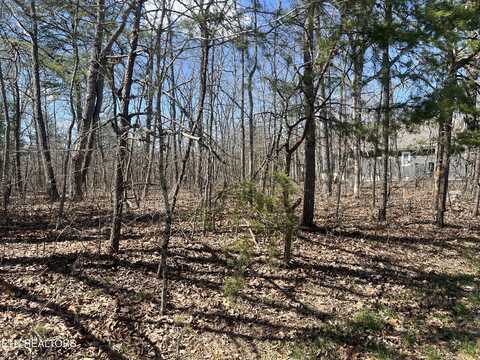 103 Amherst DR, Fairfield Glade, TN 38558