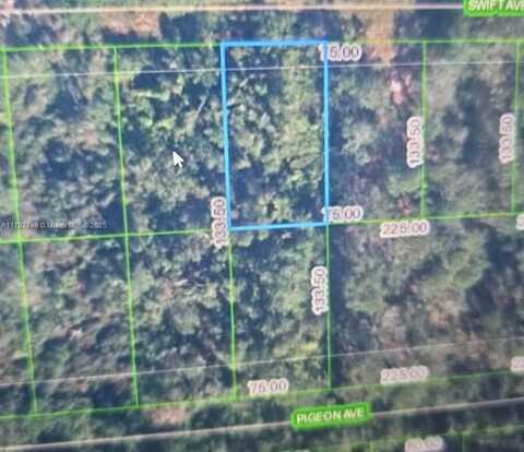 234 Swift Ave, Sebring, FL 33870