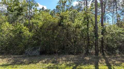 00 NE 108TH PLACE, WALDO, FL 32694