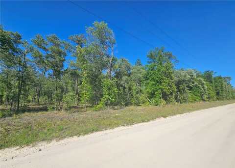 13371 NE 9TH STREET, WILLISTON, FL 32696