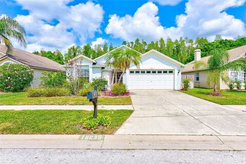 18035 PALM BREEZE DRIVE, TAMPA, FL 33647