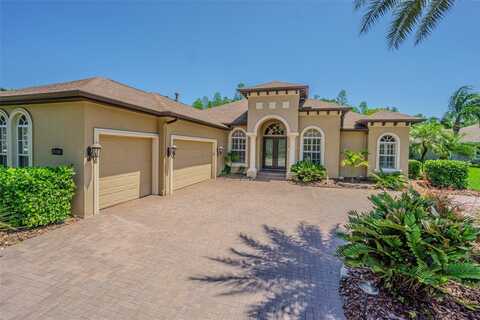 20142 LACE CASCADE ROAD, LAND O LAKES, FL 34637