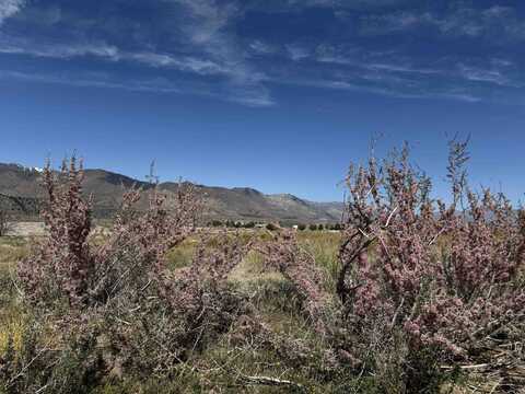 Hare Ct Eastside Lane, Coleville, CA 96107