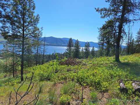 TBD INCHELIUM HWY, KETTLE FALLS, WA 99141