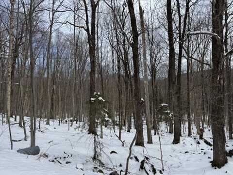 00 Westhill Road, Montgomery, VT 05470