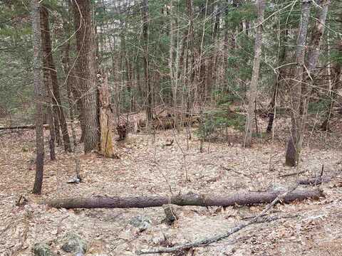 410-089-001 Eastern District Road, Danbury, NH 03230