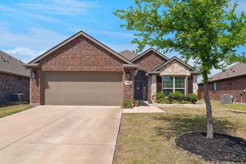 623 Maverick Street, Anna, TX 75409