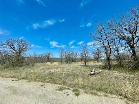 Tbd Lark Meadow Drive, Bridgeport, TX 76426