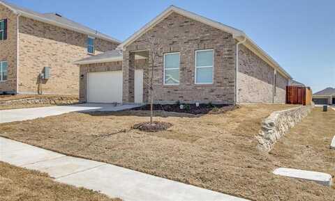 721 Cherry Blossom Street, Anna, TX 75409