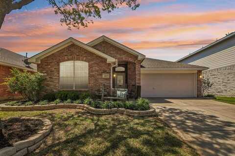 13217 Ridgepointe Road, Fort Worth, TX 76244
