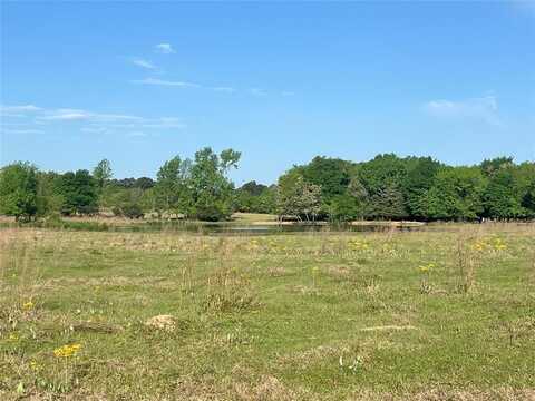 000 FM 1402, Mount Pleasant, TX 75455