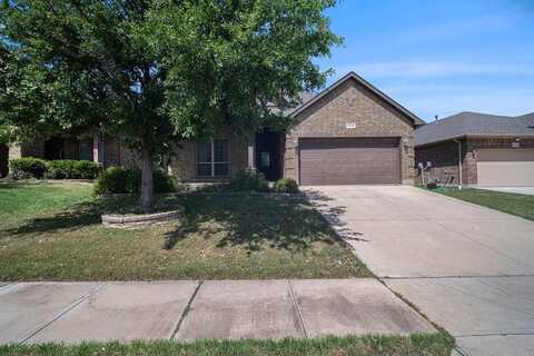 10412 Mono Lake Road, Fort Worth, TX 76177