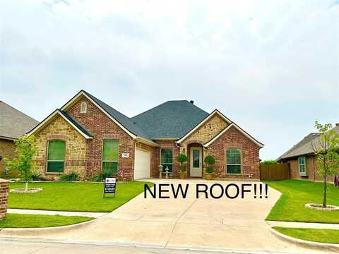 508 Sky View Court, Burleson, TX 76028