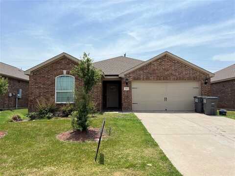 1317 Soap Tree Drive, Princeton, TX 75407