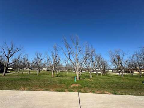 6009 Bonanza Drive, Granbury, TX 76049